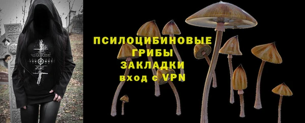 гидропоника Армянск