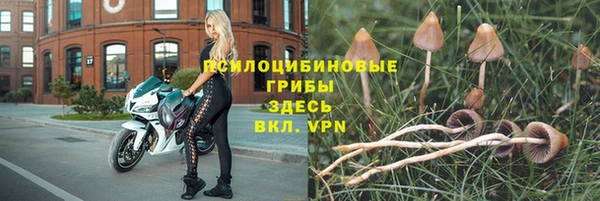 амф Аркадак