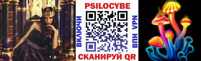 Псилоцибиновые грибы GOLDEN TEACHER  наркошоп  Новодвинск 