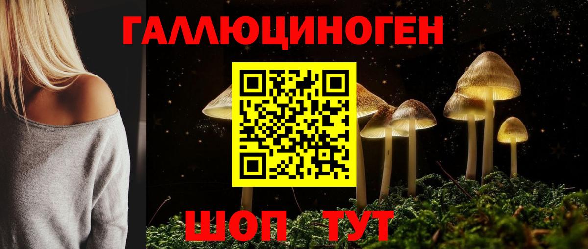 Новодвинск  Псилоцибиновые грибы мухоморы  Вход с VPN  Псилоцибиновые грибы Magic Shrooms 