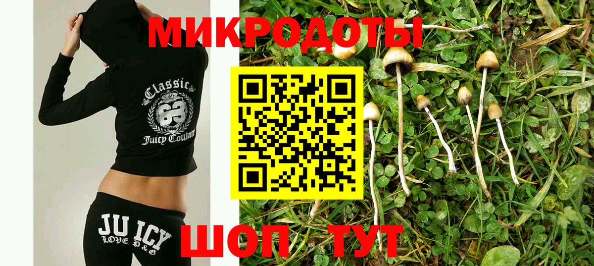 Псилоцибиновые грибы мухоморы Новодвинск